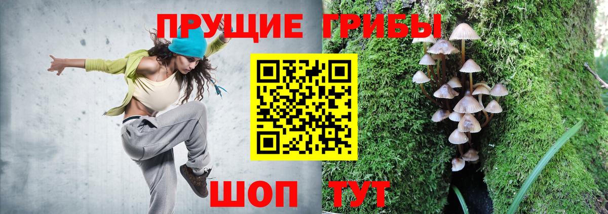 Галлюциногенные грибы MAGIC MUSHROOMS  Вход с VPN  Псилоцибиновые грибы Cubensis  Севастополь 